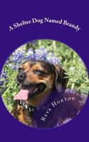 A Shelter Dog Named Brandy 1983666793 Book Cover