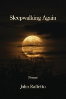 Sleepwalking Again B0GW3989HK Book Cover