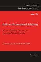 Paths to Transnational Solidarity: Identity-Building Processes in European Works Councils 3034317751 Book Cover