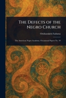 The Defects of the Negro Church 1023383985 Book Cover