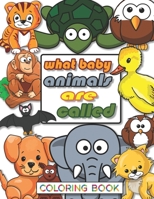 WHAT BABY ANIMALS ARE CALLED: Coloring Book for kids aged 3-10. Best way to learn your child baby animals names also is perfect gift for a child that will make him/her so happy. B08P1F8TFH Book Cover