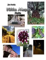 Joe Forte's Villa Mesa Italia 1540724794 Book Cover