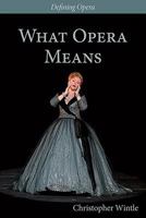 What Opera Means: Categories and Case-Studies 0993198341 Book Cover