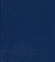 Beyond Visual Perspective 0761802193 Book Cover