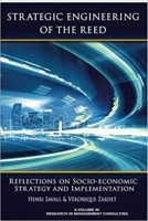 Strategic Engineering of the Reed: Reflections on Socio-Economic Strategy and Implementation 1681239515 Book Cover