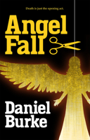Angel Fall 1963832825 Book Cover