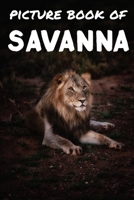 Picture book of Savanna: Photos of Savanna animals - Picture book for kids and more - Picture book for seniors with Dementia and Alzheimer - B08B33YBMX Book Cover