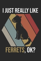 I Just Really Like Ferrets, OK?: DIN A5 Frettchen Notizheft liniert - 120 Seiten liniertes Frettchen Notizbuch f�r Notizen in Schule, Universit�t, Arbeit oder zuhause. - Eine tolles Geschenk f�r Ihre 1671308409 Book Cover