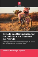 Estudo multidimensional da pobreza na Comuna de Nzinda: Estratégia de sobrevivência da população de Kikwit face ao desemprego: o caso das lojas 6206005720 Book Cover