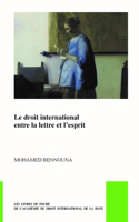 Le Droit International Entre La Lettre Et L'Esprit 9004348468 Book Cover