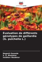 Évaluation de différents génotypes de gaillardia (G. pulchella L.) (French Edition) 6207898168 Book Cover