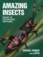 Amazing Insects: Images of Fascinating Creatures 1554073529 Book Cover