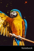 Notebook: アラ、オウム、イエローコンゴウインコ、鳥 ノートブック/ 日記 / ライテ&# 1706320574 Book Cover