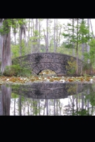 O outro lado da ponte (Portuguese Edition) 1700110764 Book Cover