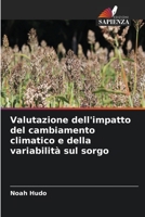 Valutazione dell'impatto del cambiamento climatico e della variabilità sul sorgo 6205711575 Book Cover