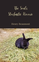 The Soul's Stochastic Reverie 3690807751 Book Cover
