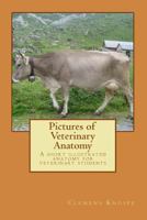 Pictures of Veterinary Anatomy: A short illustrated anatomy for veterinary students 148273141X Book Cover
