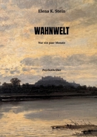 Wahnwelt: Nur ein paar Monate (German Edition) 338497347X Book Cover