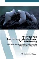 Potential von Biomassepyrolysekoks zur CO2 Minderung 6202225645 Book Cover