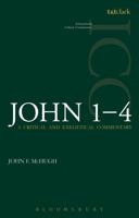 John 1-4: A Critical and Exegetical Commentary 0567595668 Book Cover