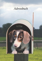 Adressbuch: Für Adressen, Telefonnummern, E-Mails, Geburtstage, Jubiläen und wichtige Informationen mit Dackel im Briefkasten (Dachshund) (German Edition) 1657200574 Book Cover