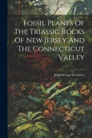Fossil Plants Of The Triassic Rocks Of New Jersey And The Connecticut Valley 1013030184 Book Cover