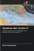 Gestione del rischio IT: Supporto organizzativo e metodologico per la gestione del rischio dei progetti IT 6203594059 Book Cover