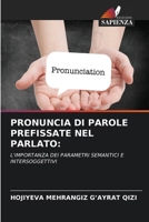 Pronuncia Di Parole Prefissate Nel Parlato (Italian Edition) 6208127335 Book Cover