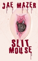 Slit Mouse B0H5L3C5C7 Book Cover