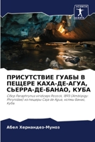 ??????????? ????? ? ?????? ????-??-????, ?? 6207595009 Book Cover