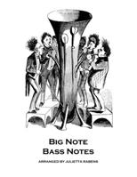 Big Note Bass Notes: for any instrument 1523428848 Book Cover