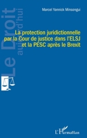 La protection juridictionnelle par la Cour de justice dans l'ELSJ et la PESC après le Brexit (French Edition) 214048522X Book Cover