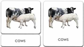 Mammals 3-Part Reading Cards B0019ZFFPU Book Cover