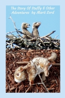 The Story of Stuffy & Other Adventures 1312286105 Book Cover