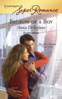Because Of A Boy (Harlequin Superromance) 0373714491 Book Cover