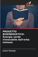 Progetto Bioenergetico: Energia verde rinnovabile dall'erba mimosa (Italian Edition) 6207219732 Book Cover