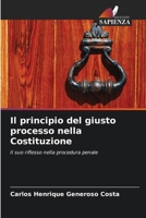 Il principio del giusto processo nella Costituzione (Italian Edition) 620741599X Book Cover