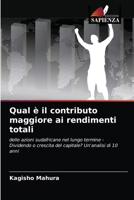 Qual è il contributo maggiore ai rendimenti totali: delle azioni sudafricane nel lungo termine - Dividendo o crescita del capitale? Un'analisi di 10 anni 6203107166 Book Cover
