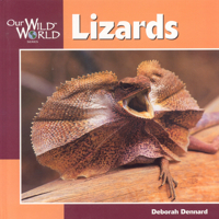 Lizards (Our Wild World) 1559718579 Book Cover