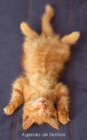 Agenda de Senhas: Agenda para endereços eletrônicos e senhas: Capa gatinho ruivo a relaxar - Português (Brasil) (Agendas com gatos) 1542924383 Book Cover