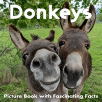 Donkeys Picture Book with Fascinating Facts: Donkey Book for Kids and Toddlers B0H2GVJ5W8 Book Cover