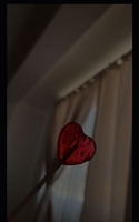 K3: Soft Hearts, Armed B0GZ3NT4TX Book Cover