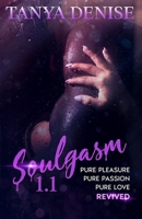 Soulgasm 1.1 1735315044 Book Cover