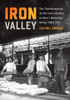 Iron Valley: The Transformation of the Iron Industry in Ohio’s Mahoning Valley, 1802–1913 0814213219 Book Cover