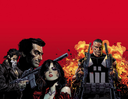 Marvel Knights: Punisher 1302914308 Book Cover