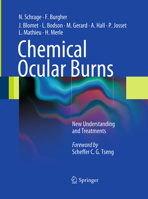 Chemical Ocular Burns: New Understanding and Treatments 3642145493 Book Cover