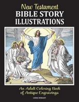 New Testament Bible Story Illustrations: An Adult Coloring Book of Antique Engravings 1937564096 Book Cover