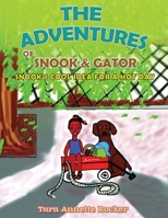 The Adventure of Snook & Gator: Snook's Cool Idea for a Hot Day 1963917693 Book Cover