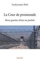 La Cour de promenade (French Edition) 2414065605 Book Cover