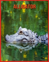 Alligator: Fascinating Alligator Facts for Kids with Stunning Pictures! B08VY771P5 Book Cover